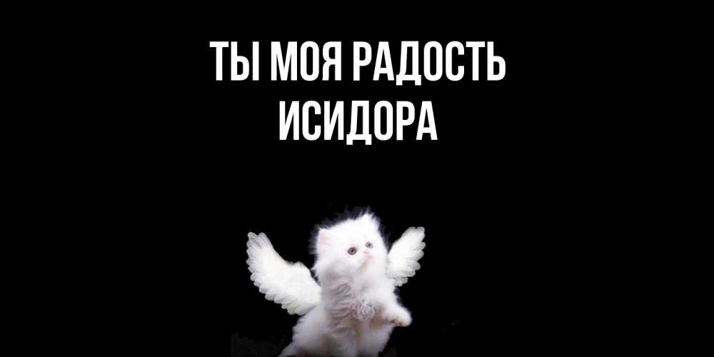 Открытка на каждый день с именем, Исидора Ты моя радость Кот ангел Прикольная открытка с пожеланием онлайн скачать бесплатно 