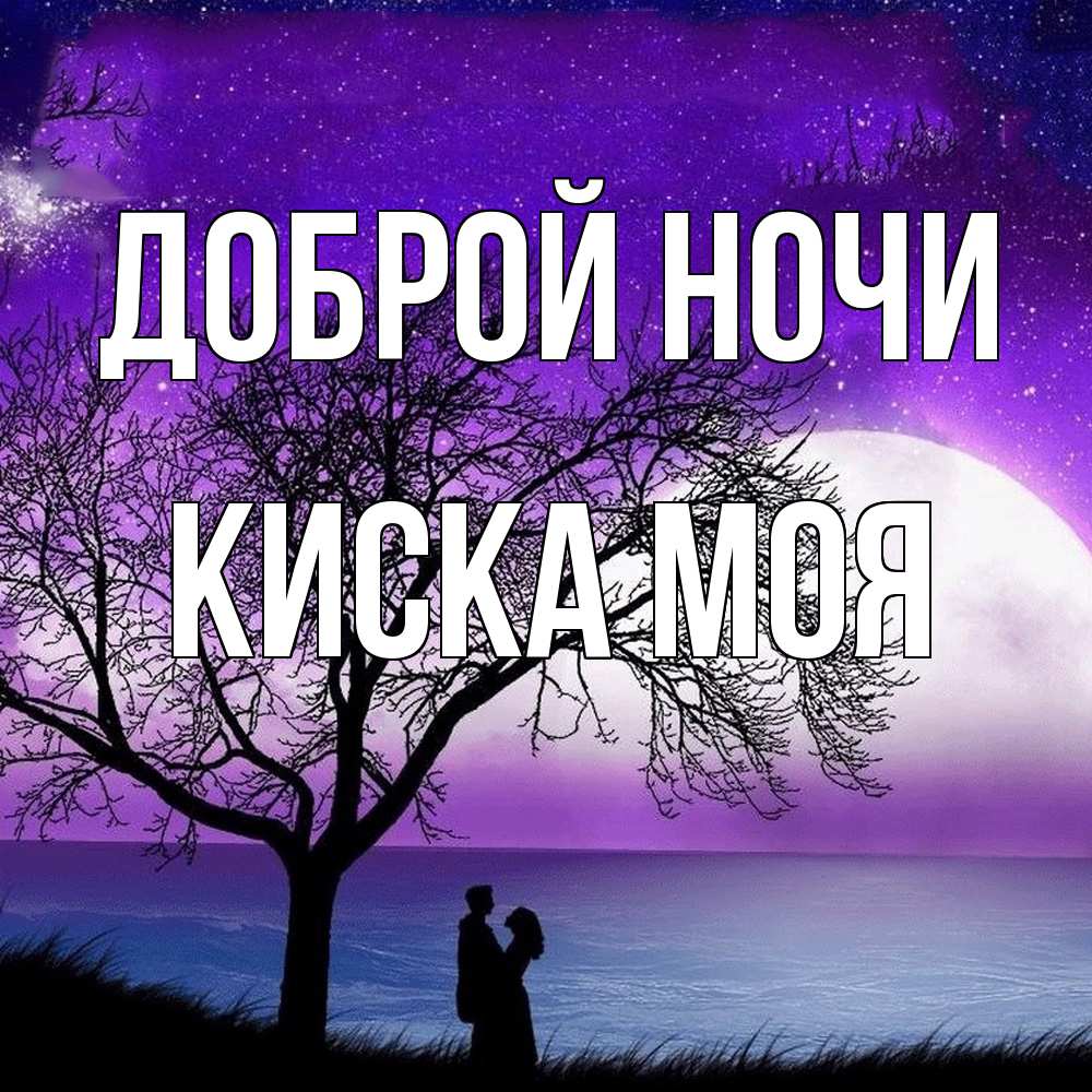 Открытка на каждый день с именем, Киска-моя Доброй ночи огромная луна и парочка Прикольная открытка с пожеланием онлайн скачать бесплатно 