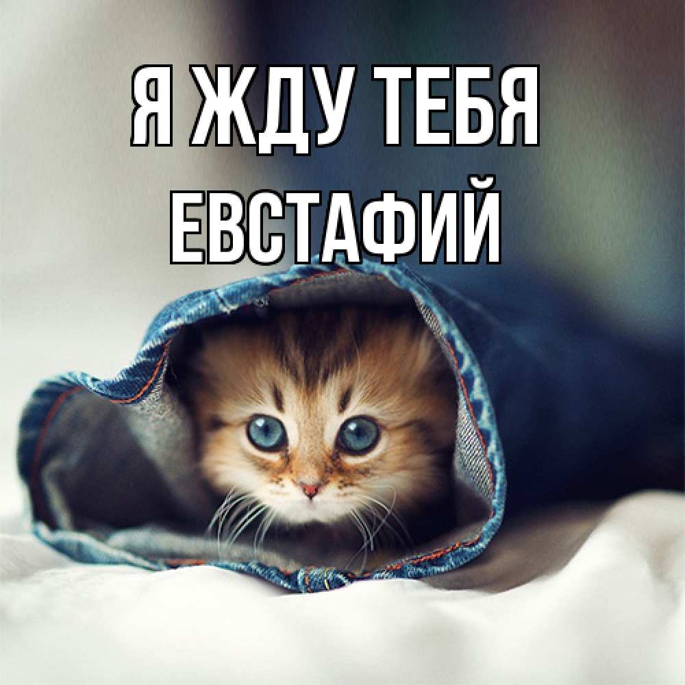 Открытка на каждый день с именем, Евстафий Я жду тебя мне без тебя плохо Прикольная открытка с пожеланием онлайн скачать бесплатно 
