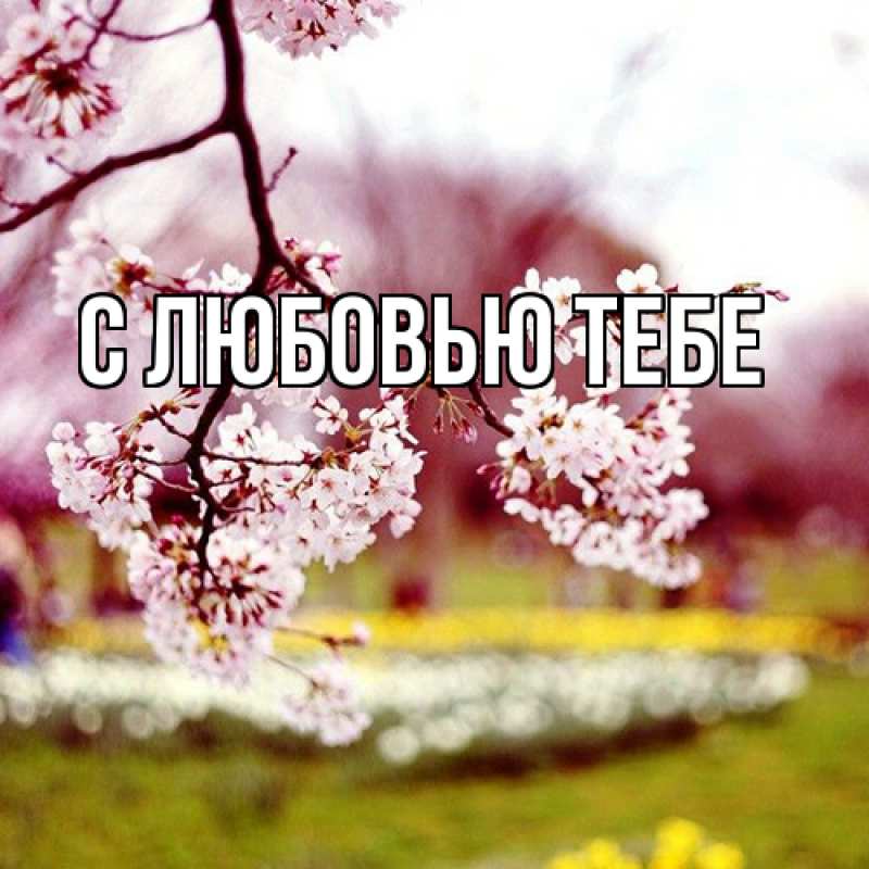 Картинка Люблю тебя, Аза