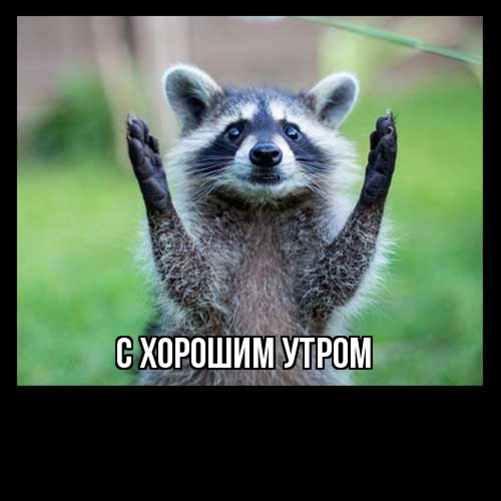 Открытка на каждый день с именем, Дилара Как дела животные Прикольная открытка с пожеланием онлайн скачать бесплатно 