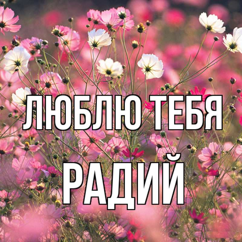 Открытка с именем, Радий, Люблю тебя