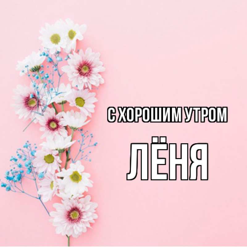 Картинка С хорошим утром, Лёня