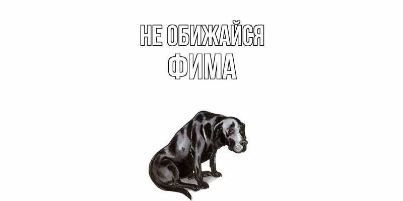 Картинка Не обижайся, Фима