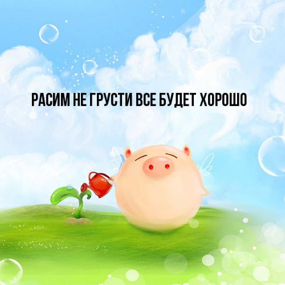 Открытка на каждый день с именем, Расим Не грусти все будет хорошо поливает цветок порося Прикольная открытка с пожеланием онлайн скачать бесплатно 