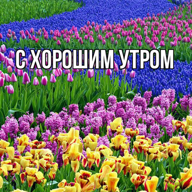 Картинка Люблю тебя, Лёня