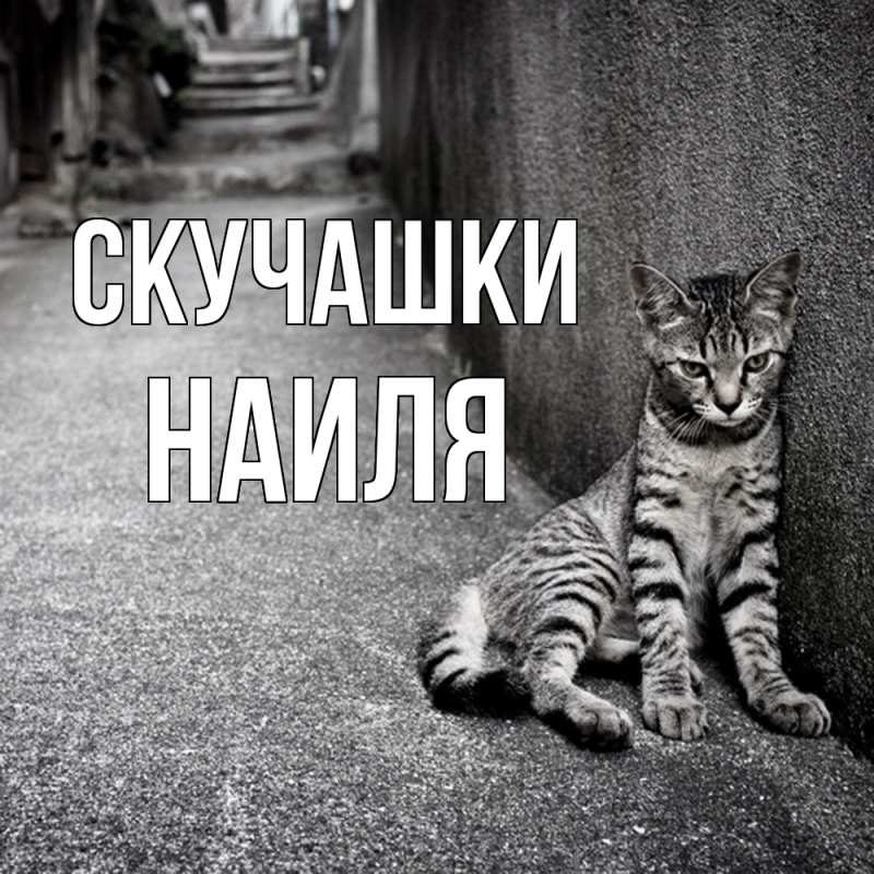 Картинка Скучашки, Наиля