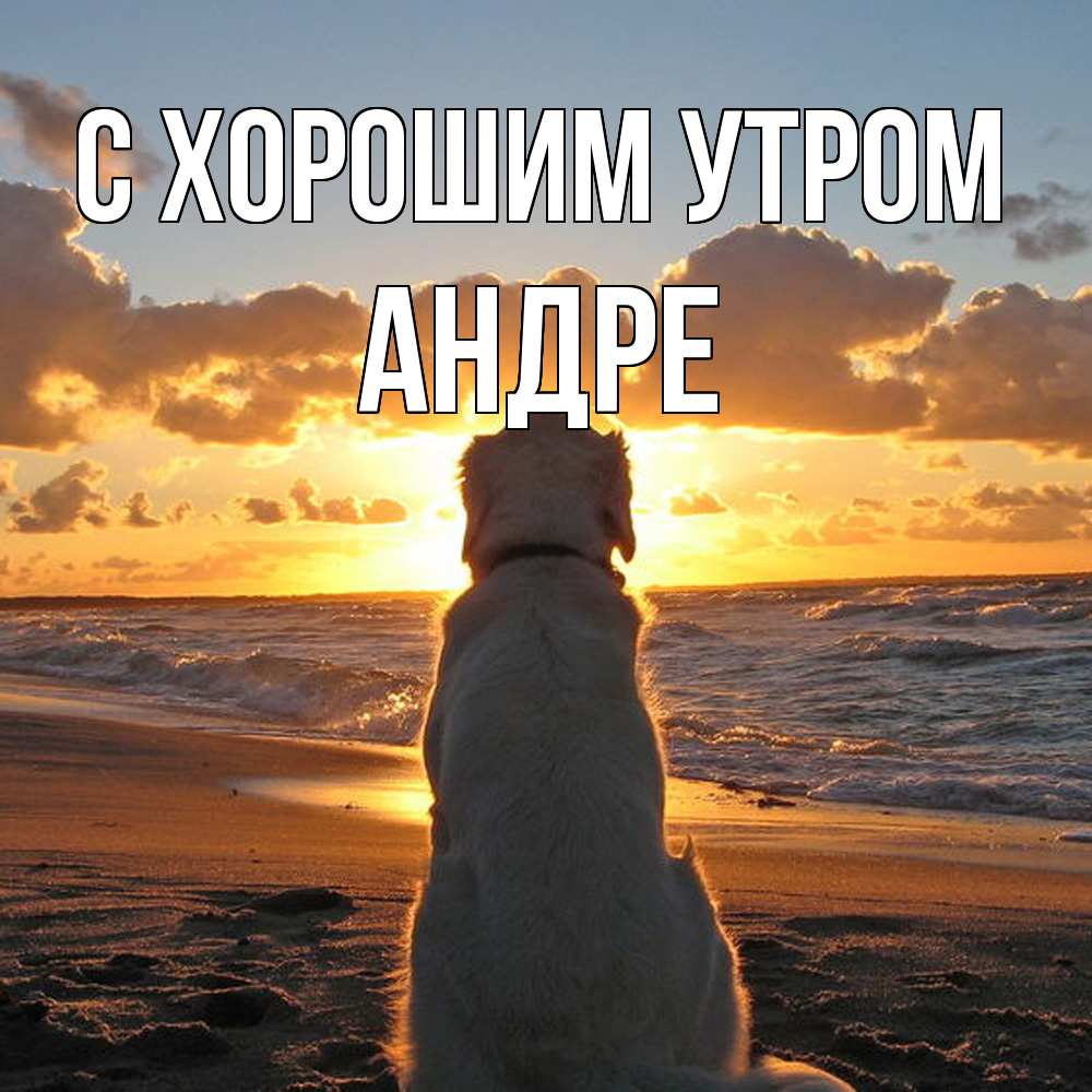 Открытка на каждый день с именем, Андре С хорошим утром восход солнца Прикольная открытка с пожеланием онлайн скачать бесплатно 