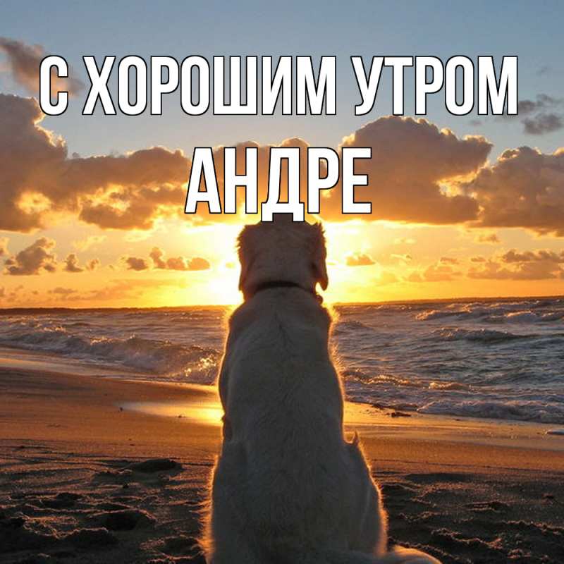 Картинка С хорошим утром, Андре