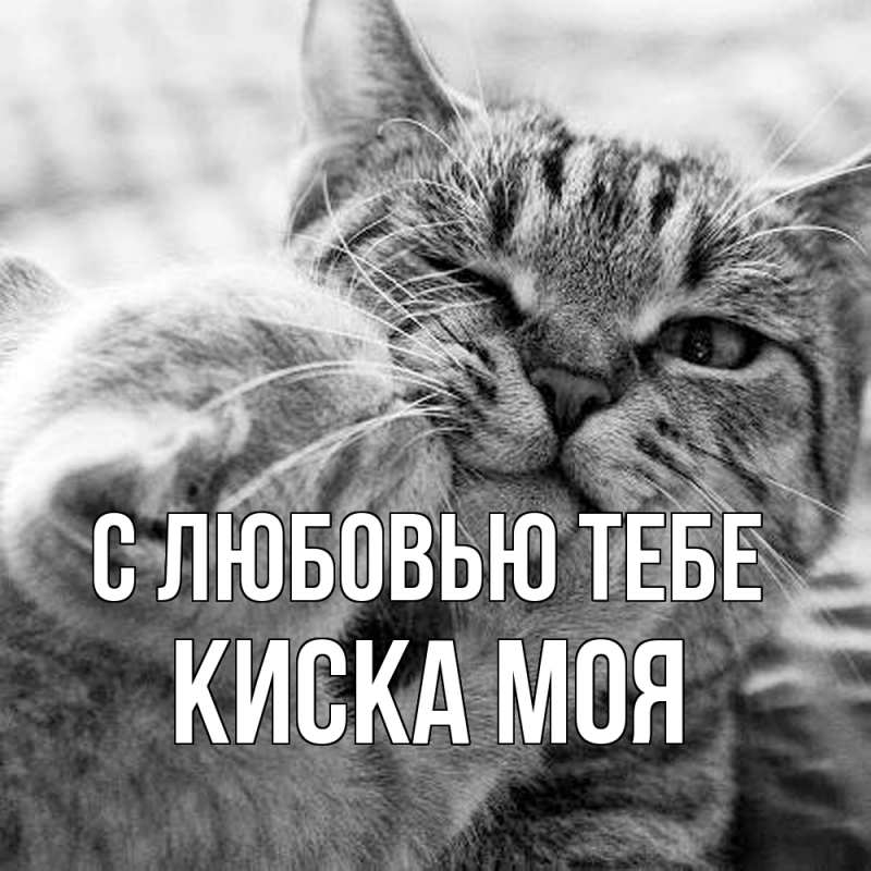 Картинка С любовью тебе, Киска моя