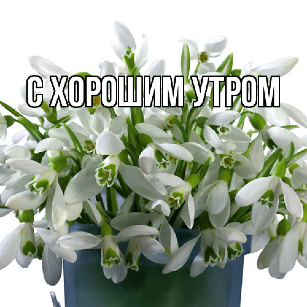 Открытка на каждый день с именем, Лида Люблю тебя цветы к международному женскому дню Прикольная открытка с пожеланием онлайн скачать бесплатно 