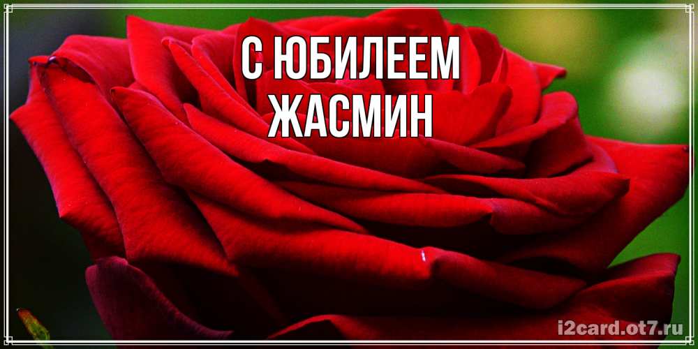 Открытка на каждый день с именем, Жасмин C юбилеем розочка очень красивая Прикольная открытка с пожеланием онлайн скачать бесплатно 