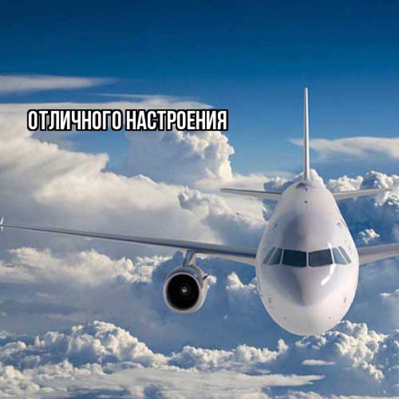 Картинка Удачной поездки, Роза