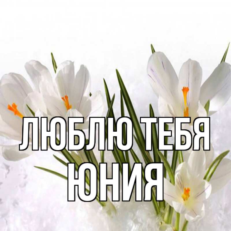 Картинка Люблю тебя, Юния