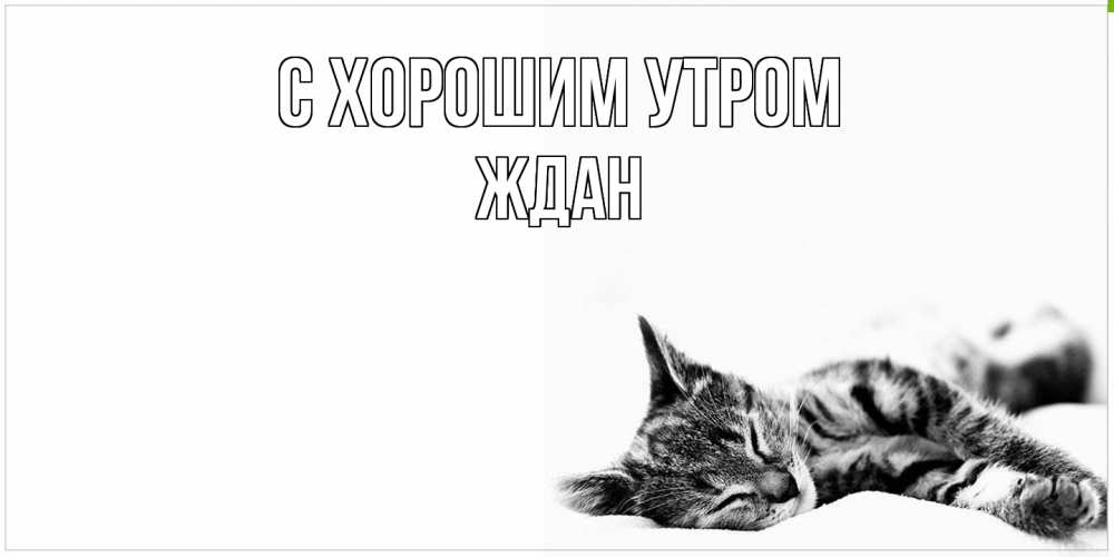 Открытка на каждый день с именем, Ждан С хорошим утром котуся Прикольная открытка с пожеланием онлайн скачать бесплатно 