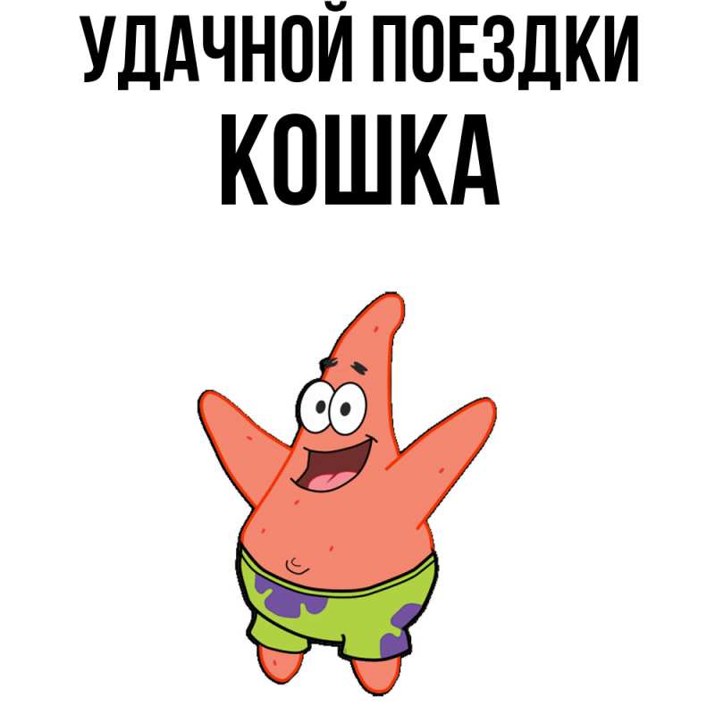 Открытка с именем, Кошка, Удачной поездки