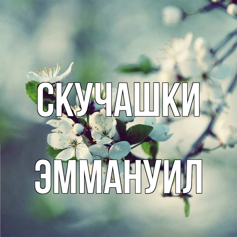 Картинка Скучашки, Эммануил