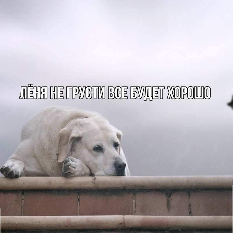 Картинка Не грусти, все будет хорошо, Лёня