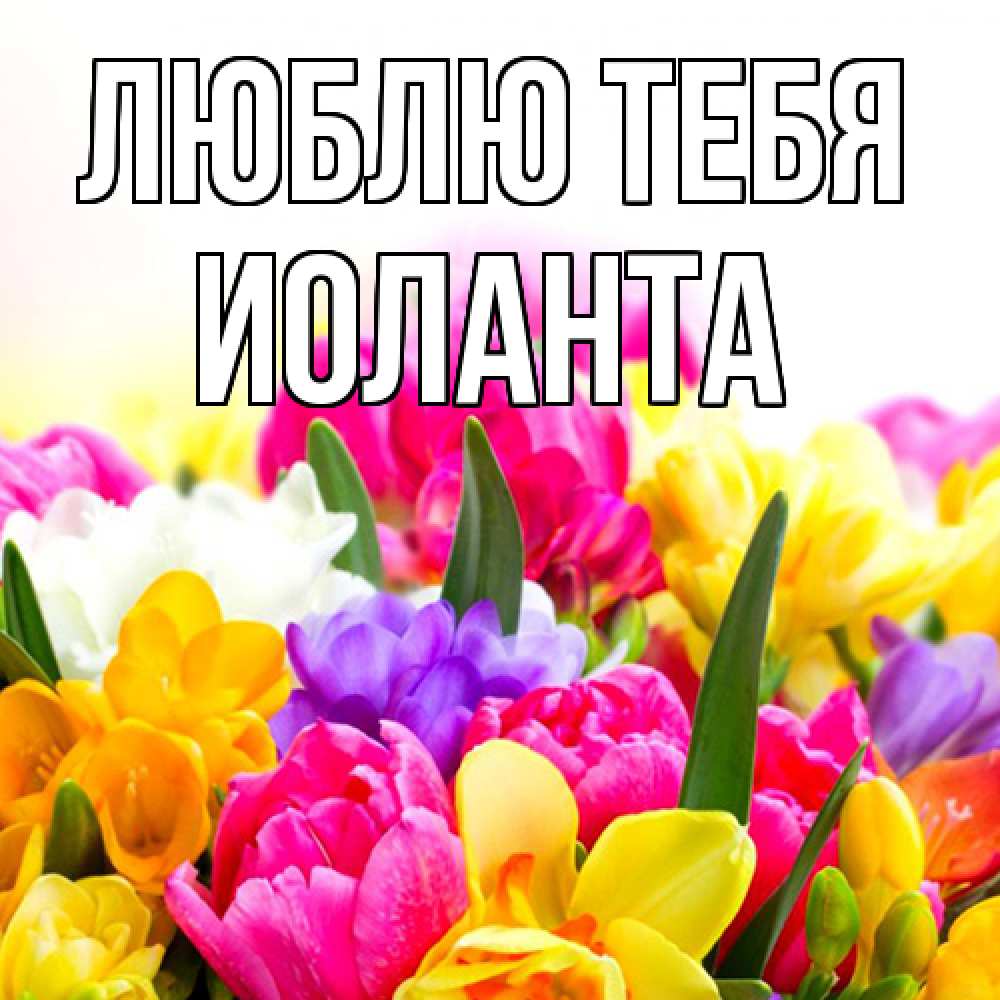 Открытка на каждый день с именем, Иоланта Люблю тебя тюльпаны Прикольная открытка с пожеланием онлайн скачать бесплатно 