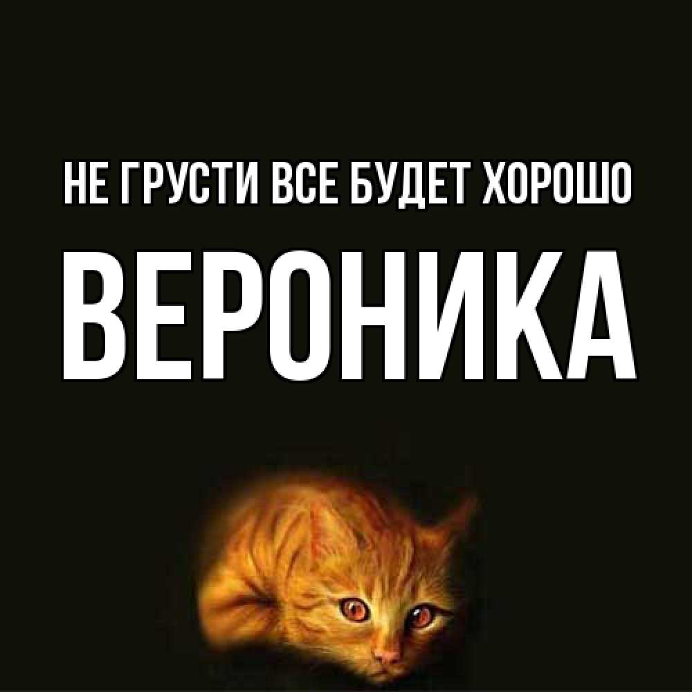 Открытка на каждый день с именем, Вероника Не грусти все будет хорошо лежащий кот в темноте Прикольная открытка с пожеланием онлайн скачать бесплатно 