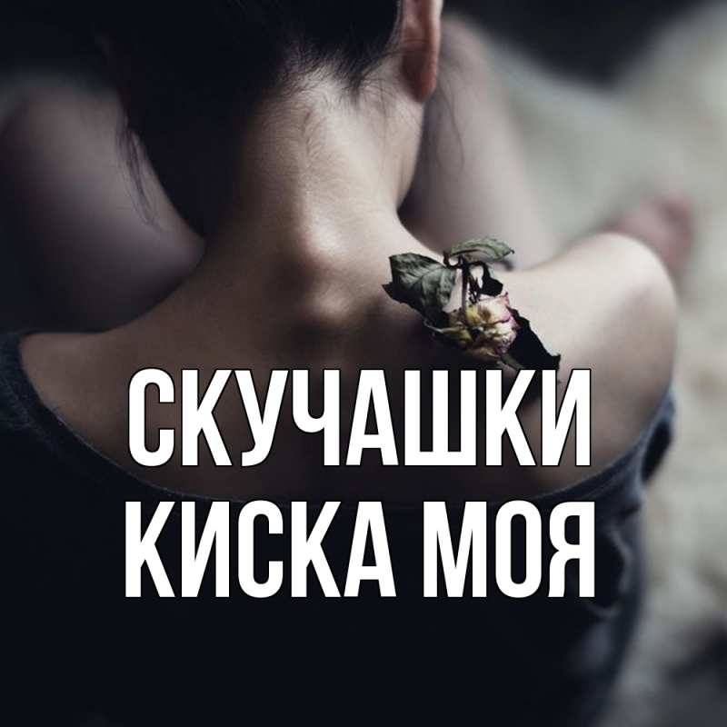 Картинка Скучашки, Киска моя