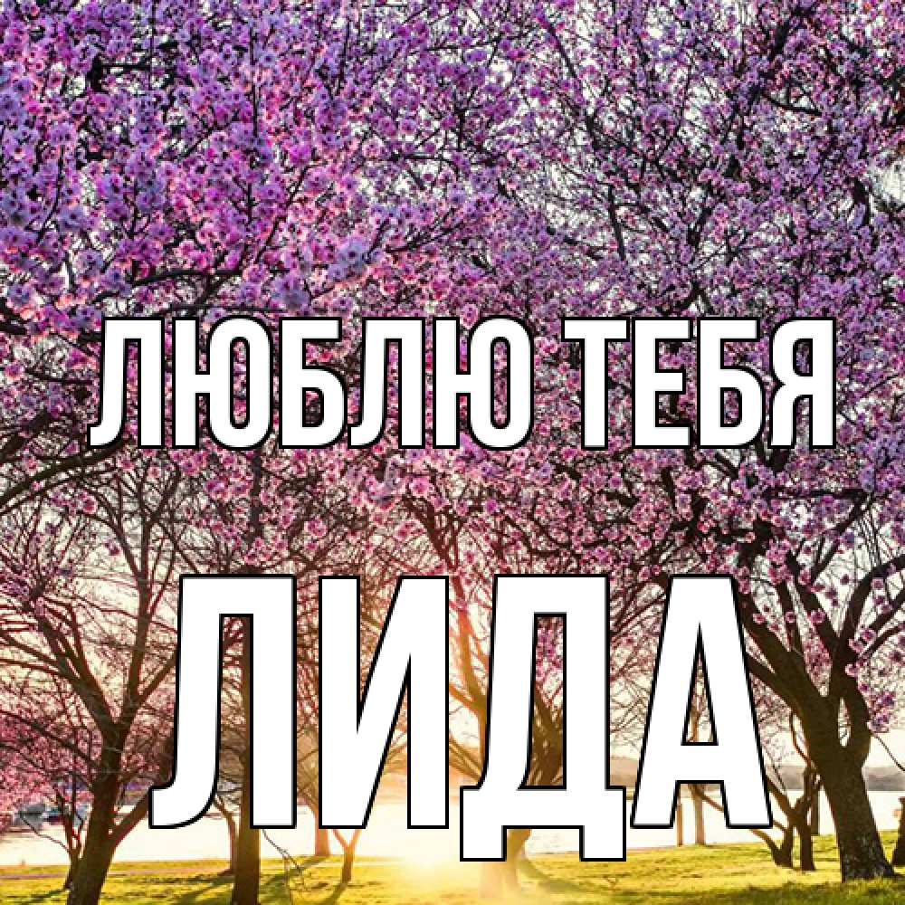 Открытка на каждый день с именем, Лида Люблю тебя международный женский день Прикольная открытка с пожеланием онлайн скачать бесплатно 