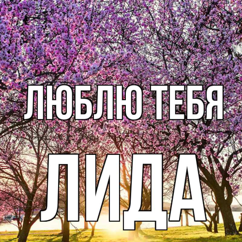 Картинка Люблю тебя, Лида