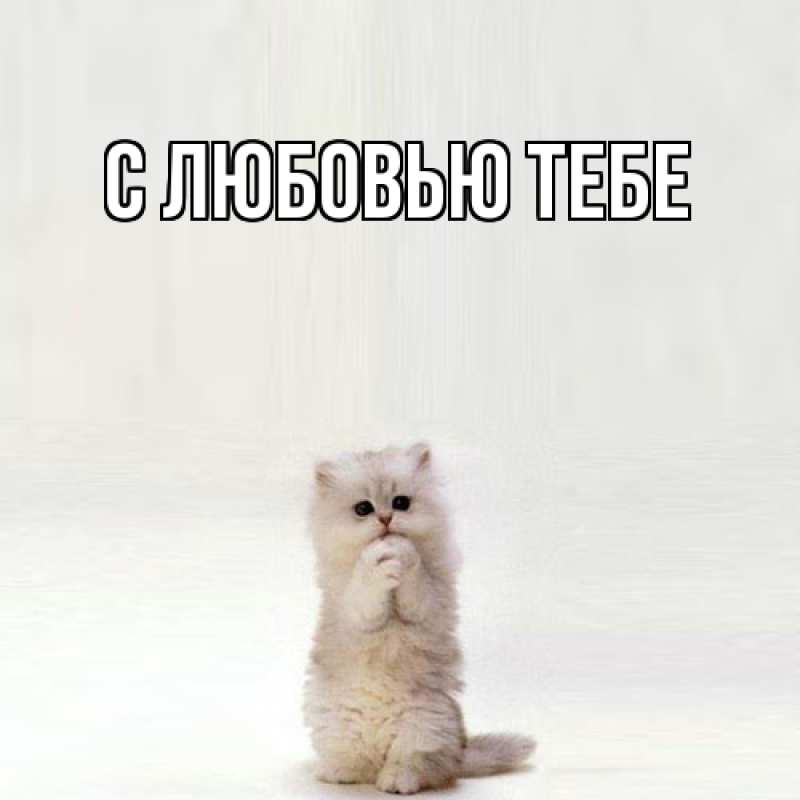 Картинка Обнимашки, Лёня