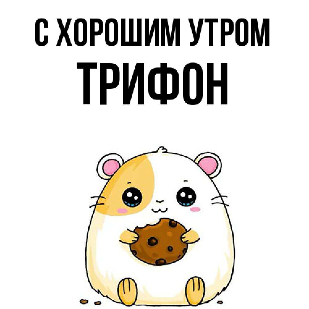 Открытка на каждый день с именем, Трифон С хорошим утром есть печеньку. Утречко Прикольная открытка с пожеланием онлайн скачать бесплатно 