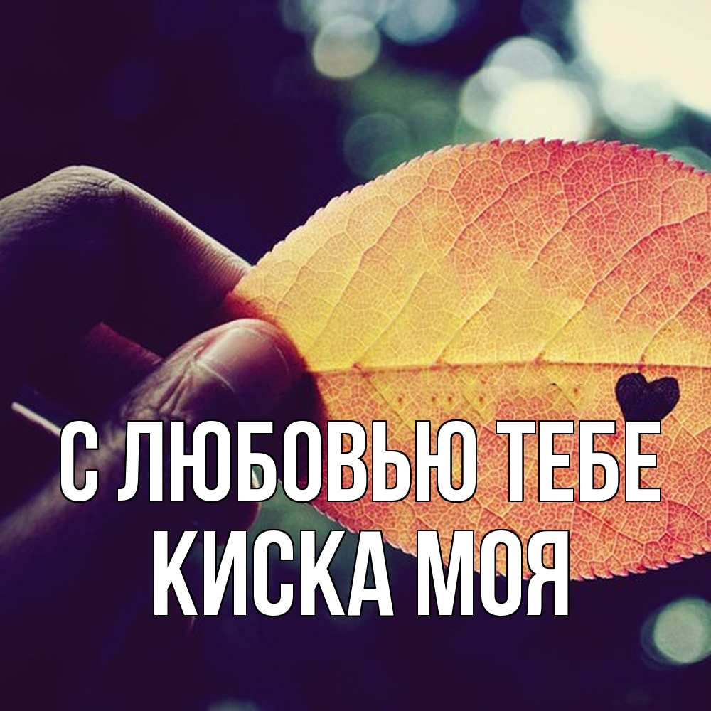 Открытка на каждый день с именем, Киска-моя С любовью тебе держу лист Прикольная открытка с пожеланием онлайн скачать бесплатно 