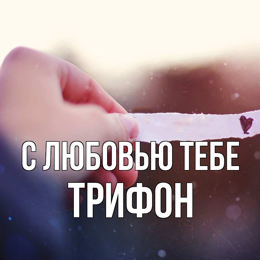 Открытка на каждый день с именем, Трифон С любовью тебе для тебя Прикольная открытка с пожеланием онлайн скачать бесплатно 