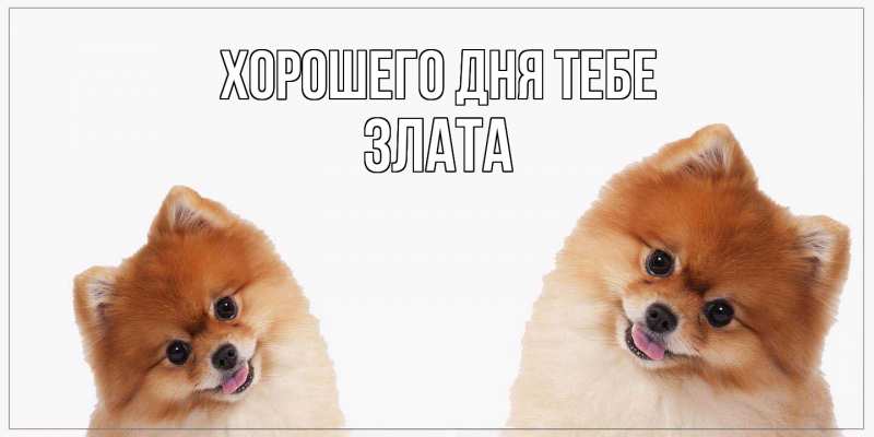 Открытка с именем, Злата, Хорошего дня тебе