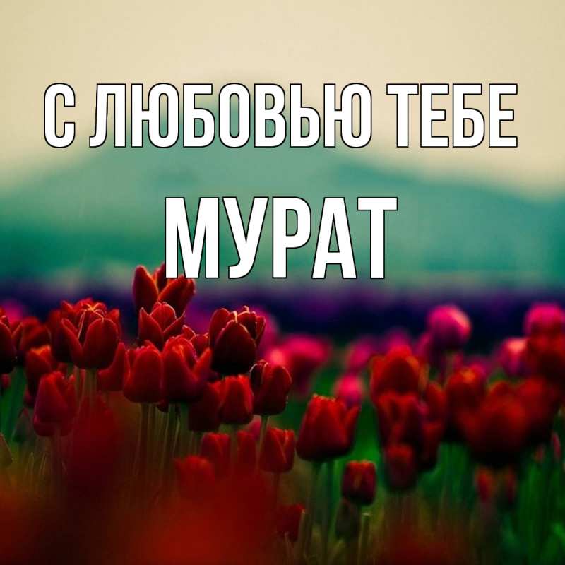Картинка С любовью тебе, Мурат