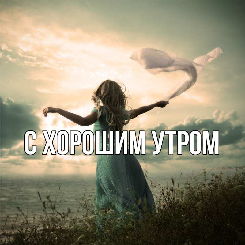 Картинка Скучашки, Катюша