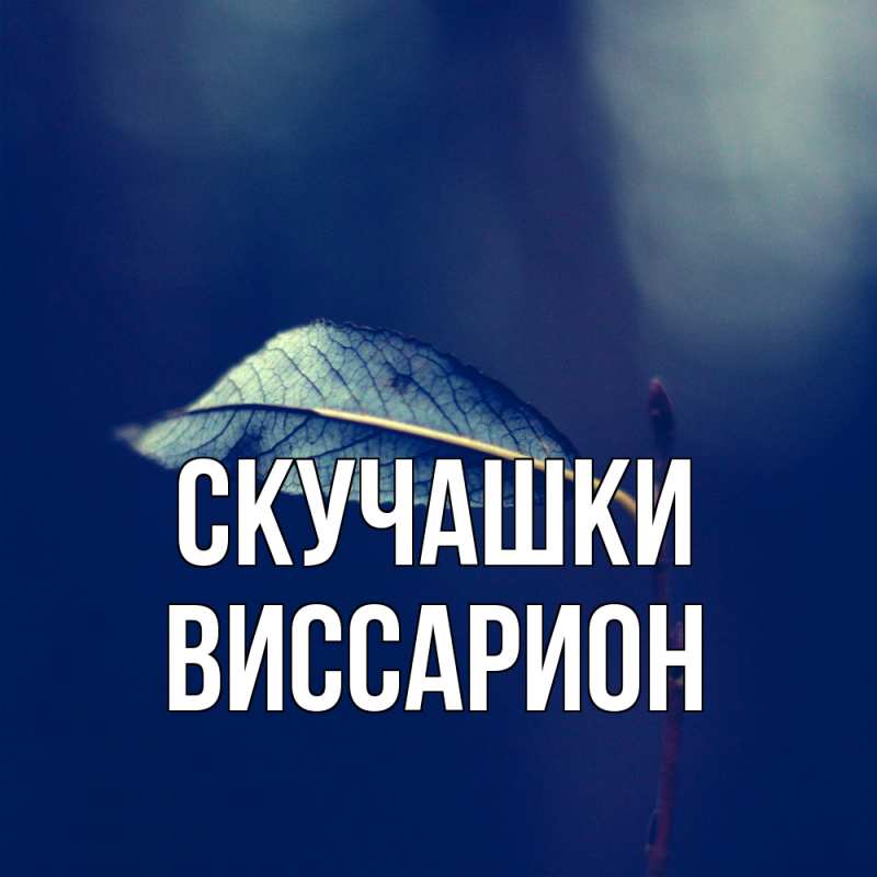 Картинка Скучашки, Виссарион