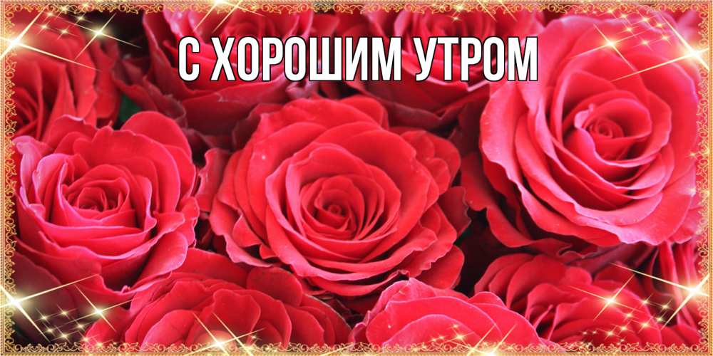 Открытка на каждый день с именем, Иван Люблю тебя открытки на 8 марта 2019 года Прикольная открытка с пожеланием онлайн скачать бесплатно 