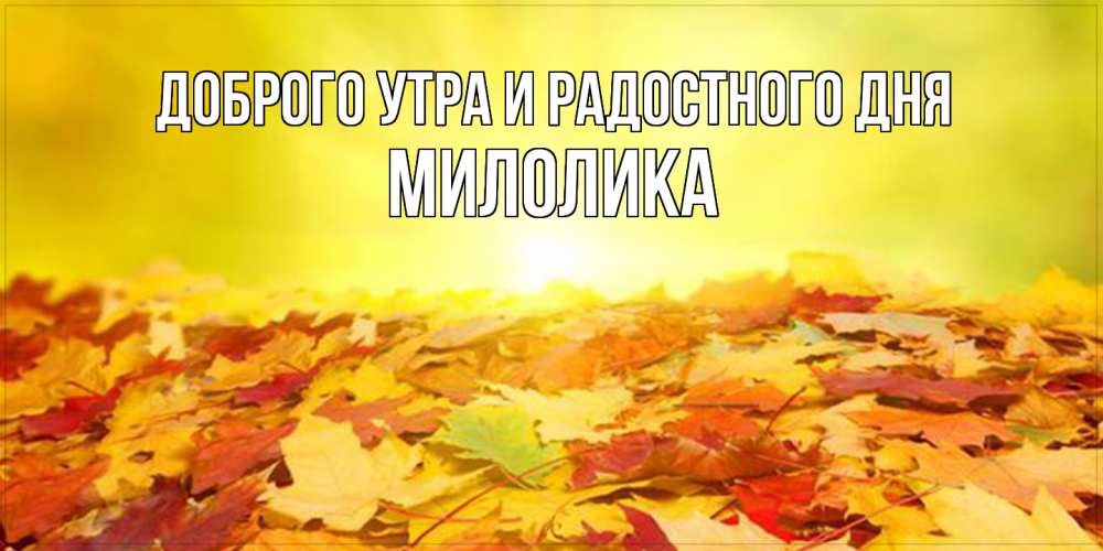 Открытка на каждый день с именем, Милолика Доброго утра и радостного дня пожелания удачного дня Прикольная открытка с пожеланием онлайн скачать бесплатно 