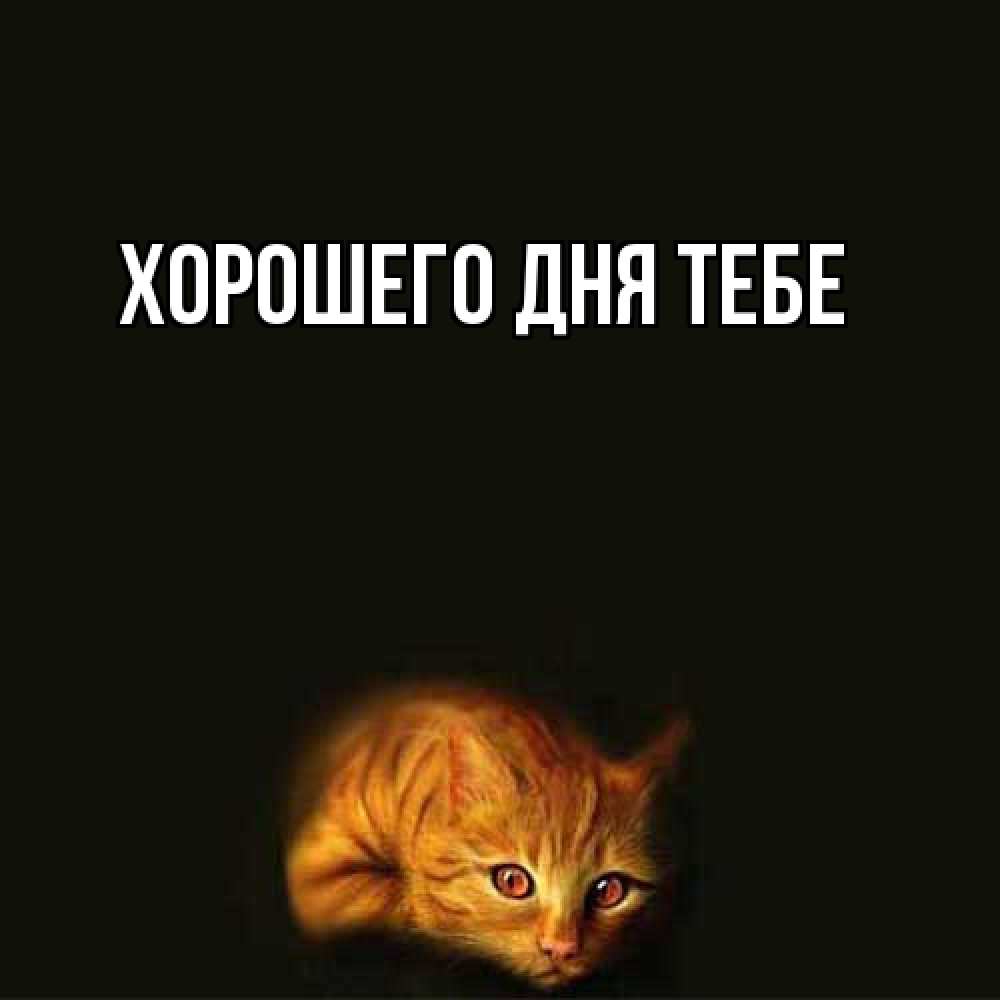 Открытка на каждый день с именем, Теодор Я жду тебя рыжий Прикольная открытка с пожеланием онлайн скачать бесплатно 