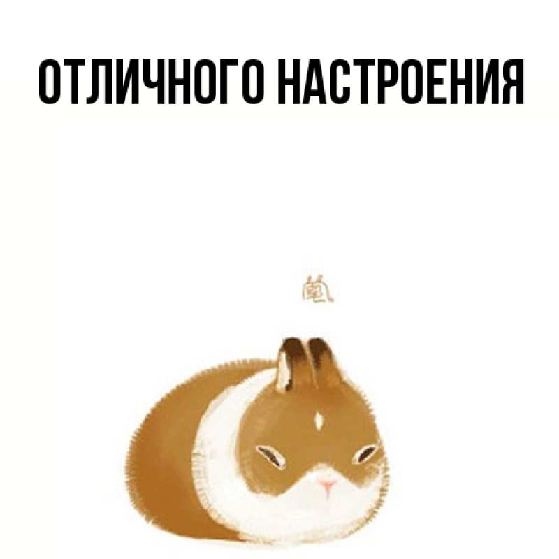 Картинка Большое спасибо, Лида