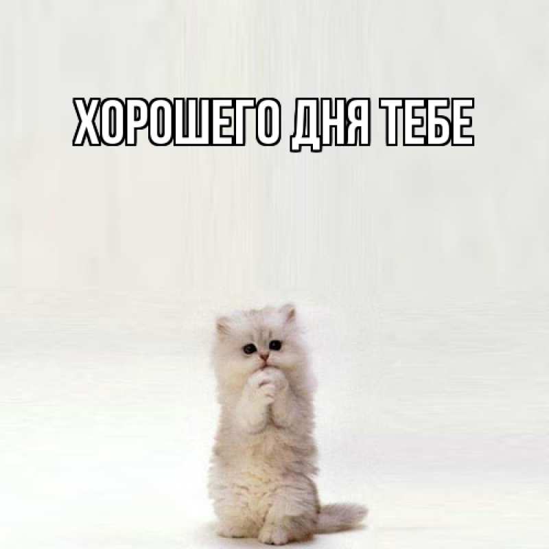 Картинка Я жду тебя, Теодор