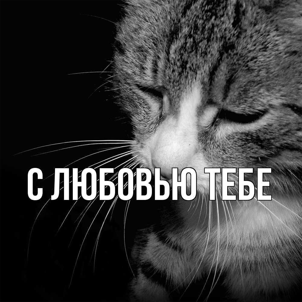 Открытка на каждый день с именем, Милан Скучашки мне скучно Прикольная открытка с пожеланием онлайн скачать бесплатно 