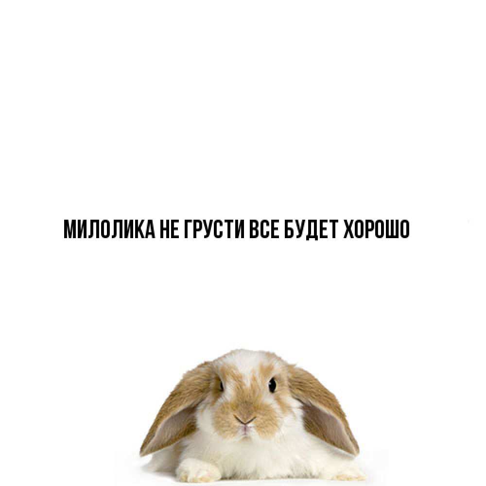 Открытка на каждый день с именем, Милолика Не грусти все будет хорошо коричнево белый заяц с большими ушками Прикольная открытка с пожеланием онлайн скачать бесплатно 