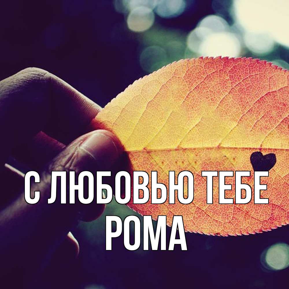 Открытка на каждый день с именем, Рома С любовью тебе держу лист Прикольная открытка с пожеланием онлайн скачать бесплатно 