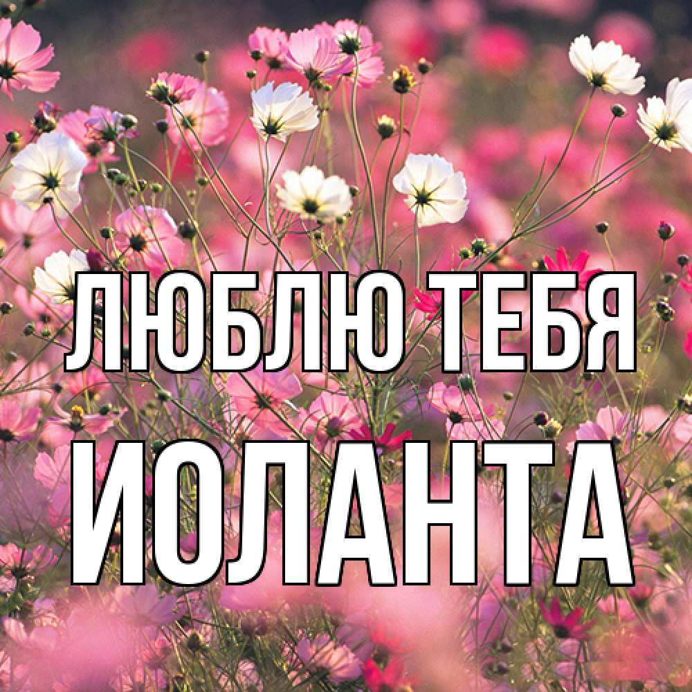 Открытка на каждый день с именем, Иоланта Люблю тебя красиво 1 Прикольная открытка с пожеланием онлайн скачать бесплатно 