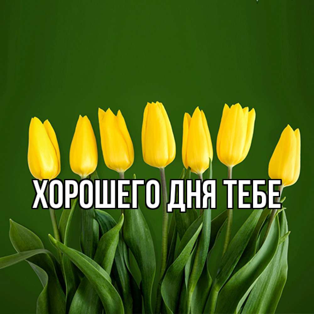 Открытка на каждый день с именем, Гастон Люблю тебя желтого цвета 3 Прикольная открытка с пожеланием онлайн скачать бесплатно 