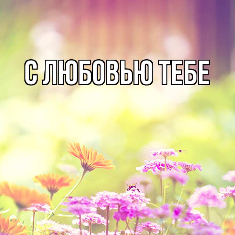 Картинка Люблю тебя, Аза