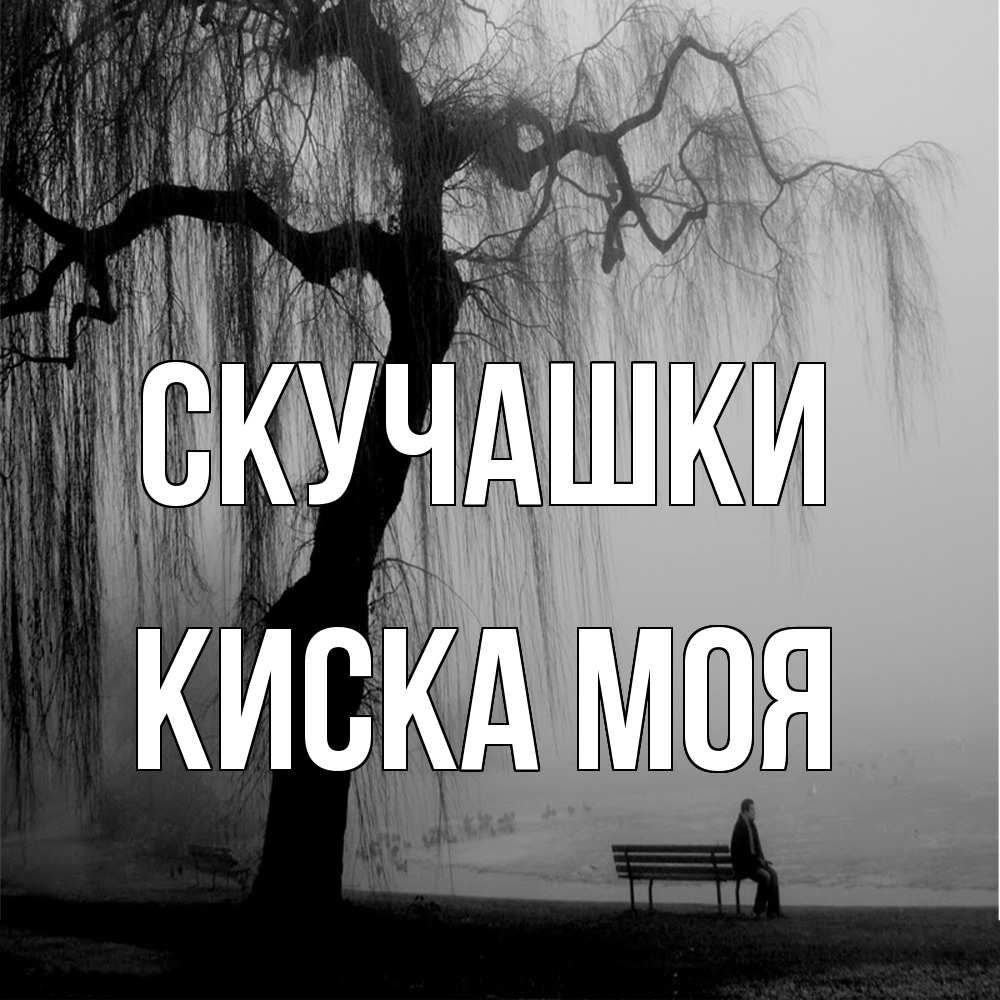 Открытка на каждый день с именем, Киска-моя Скучашки лавочка под деревом я жду тебя Прикольная открытка с пожеланием онлайн скачать бесплатно 
