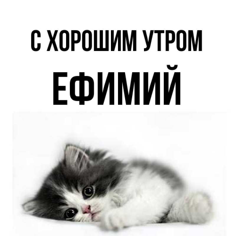 Открытка с именем, Ефимий, С хорошим утром