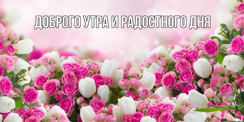 Картинка С днем всех влюбленных, Шерлок