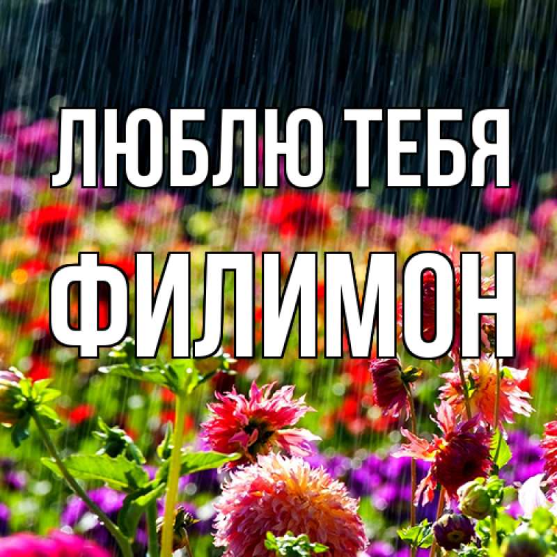 Картинка Люблю тебя, Филимон